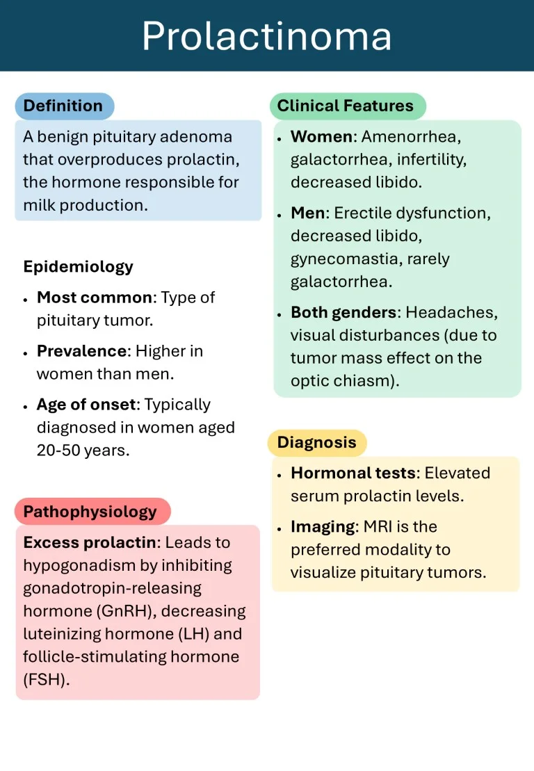 Download-Cambridge-Endocrinology-Short-Notes-Book-Sample-10.webp