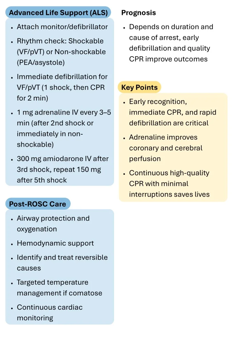 Emergency Medicine Made Easy sample images download (8)