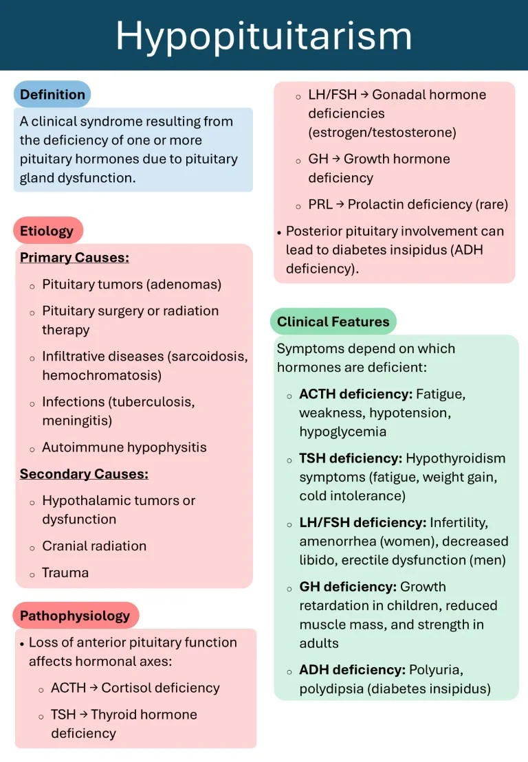Endocrinology Made Easy sample images download (11)