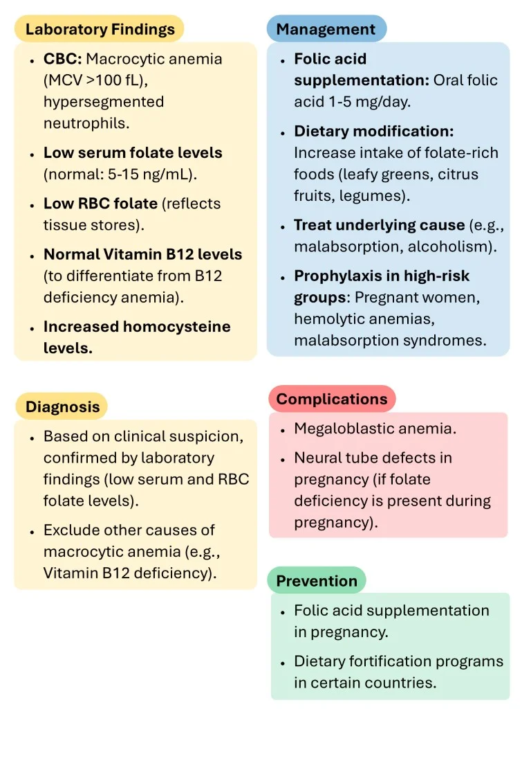 Hematology Made Easy sample images download (10)