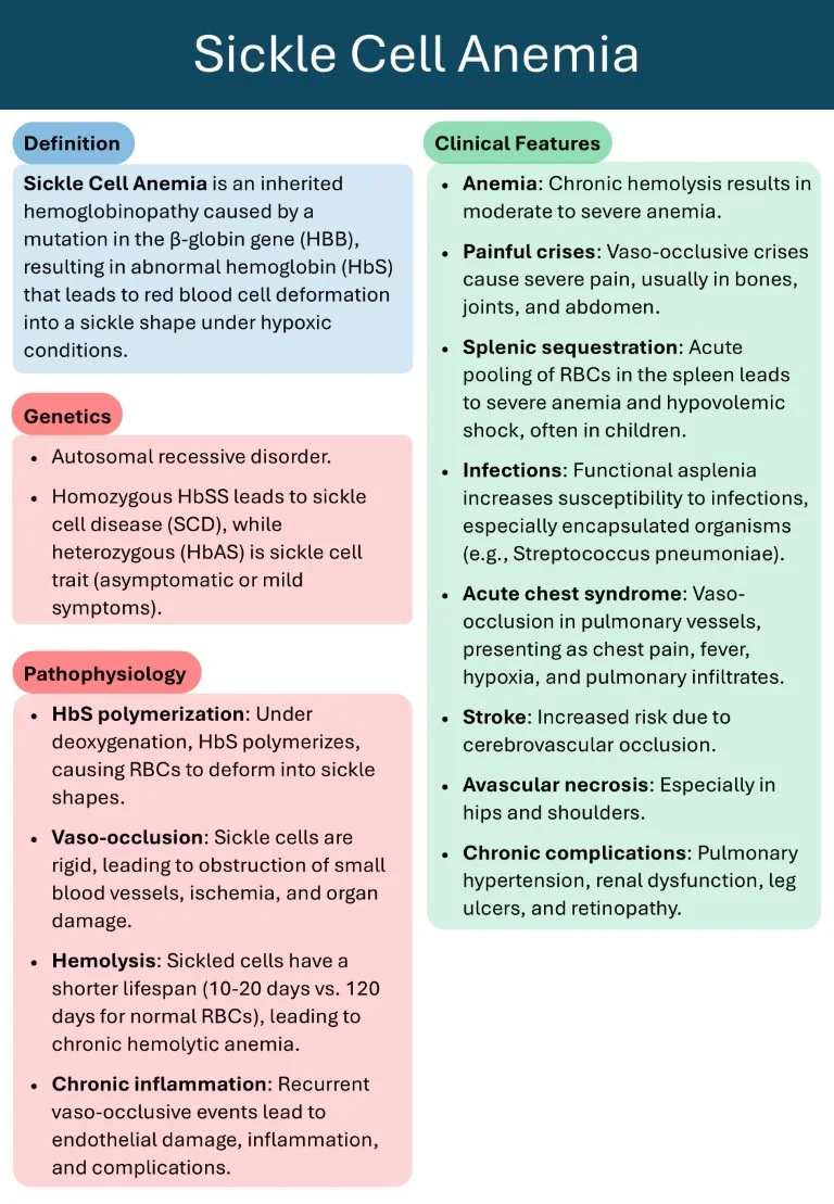 Hematology Made Easy sample images download (13)