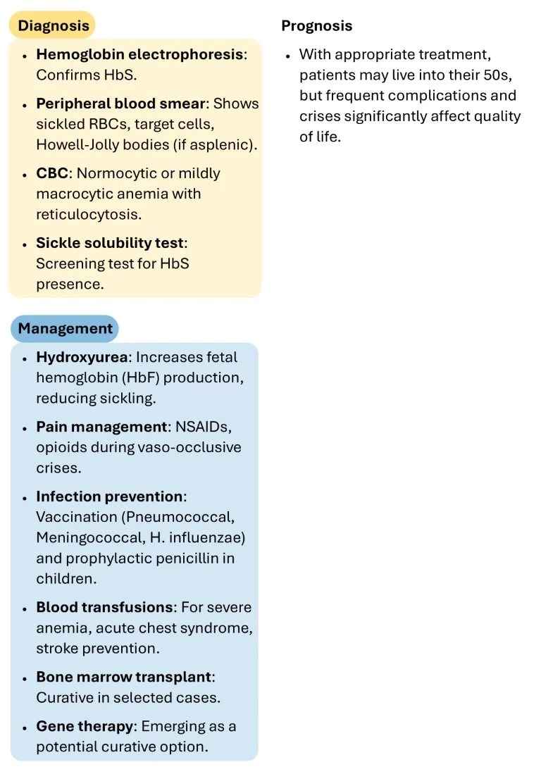 Hematology Made Easy sample images download (14)