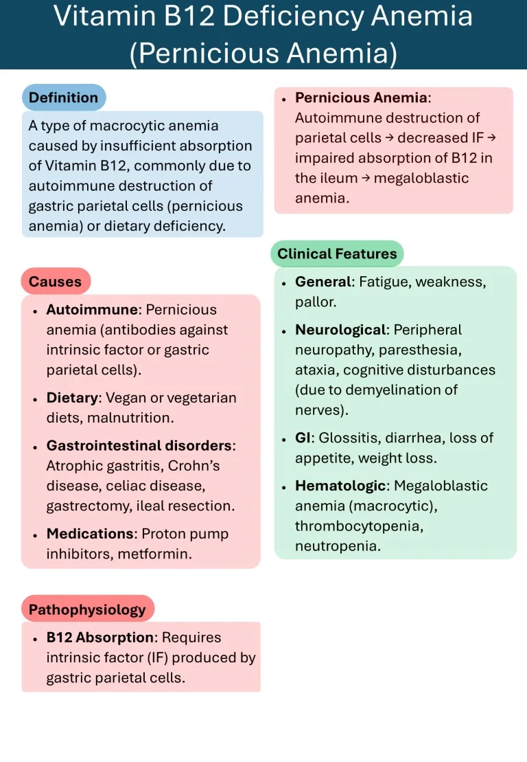 Hematology Made Easy sample images download (7)