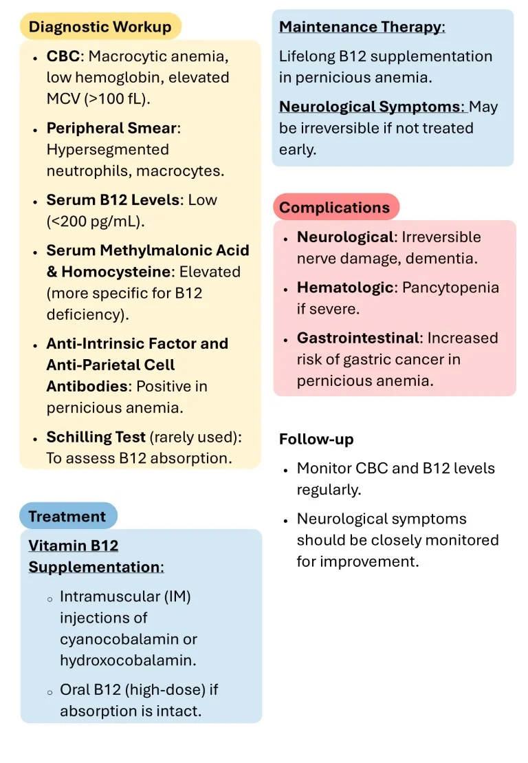 Hematology Made Easy sample images download (8)