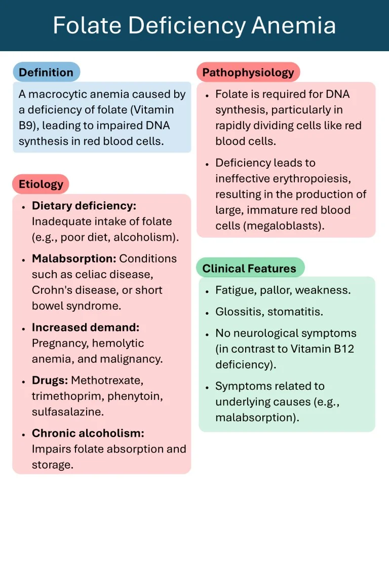 Hematology Made Easy sample images download (9)