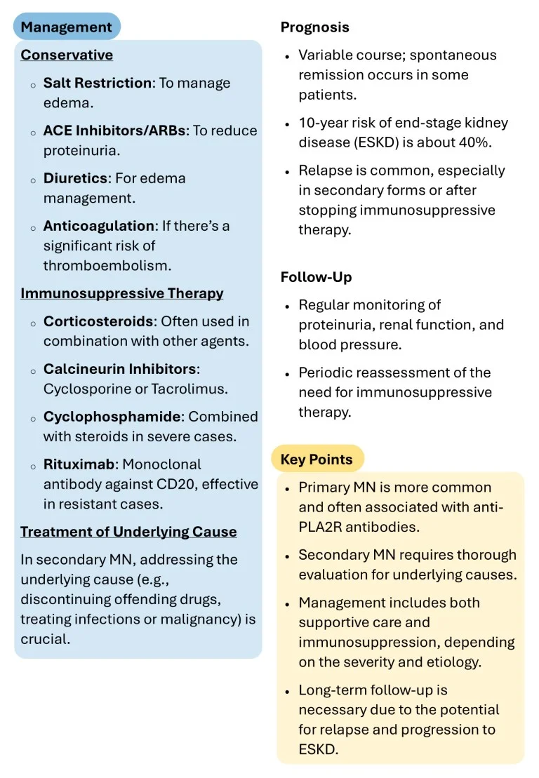 Nephrology Made Easy sample images download (10)
