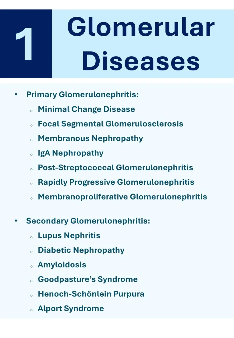 Nephrology Made Easy sample images download (4)