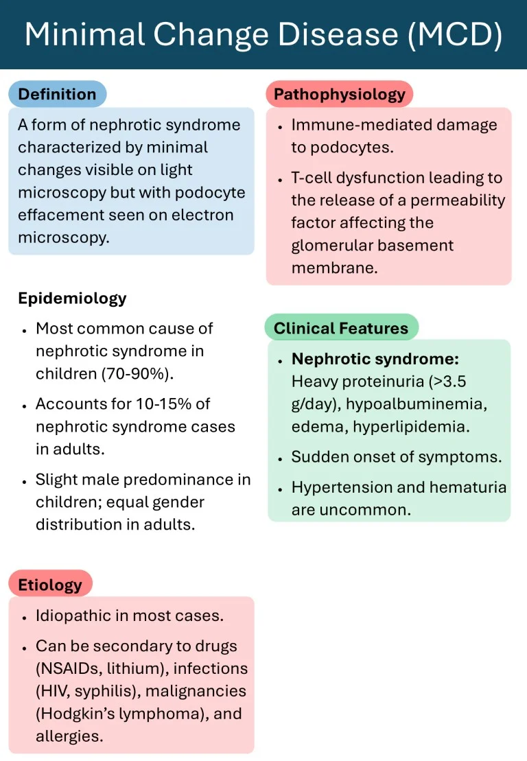 Nephrology Made Easy sample images download (5)