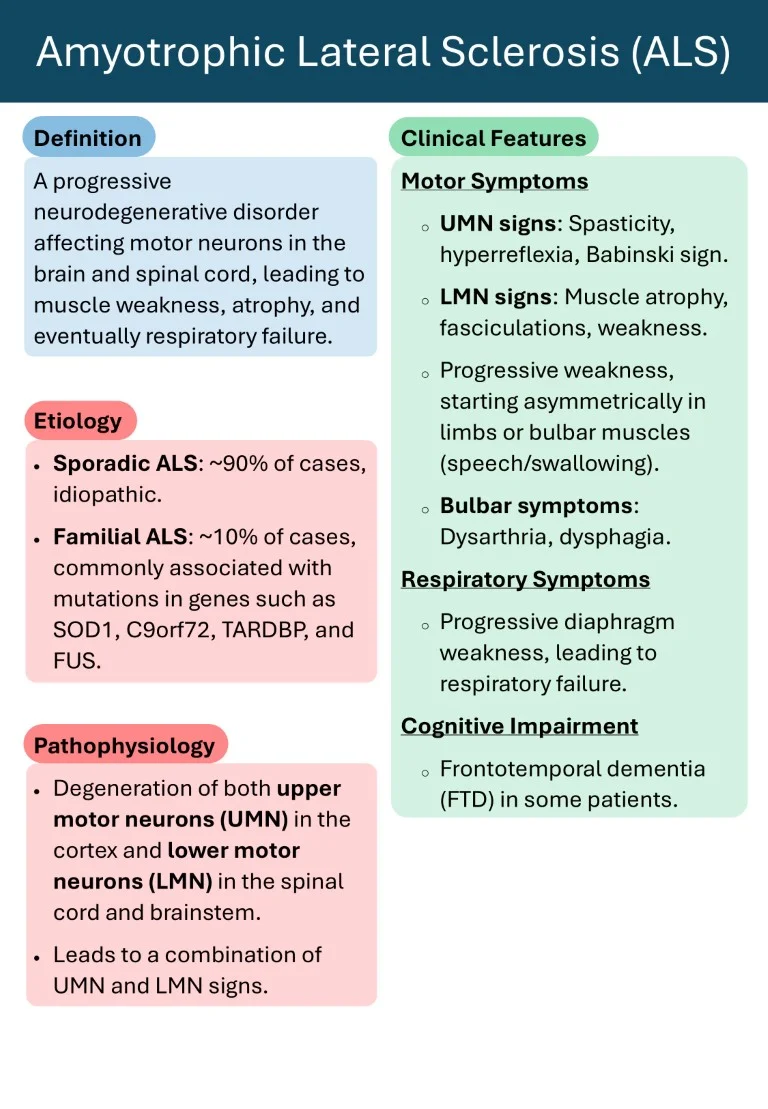 Neurology made easy sample images download (10)