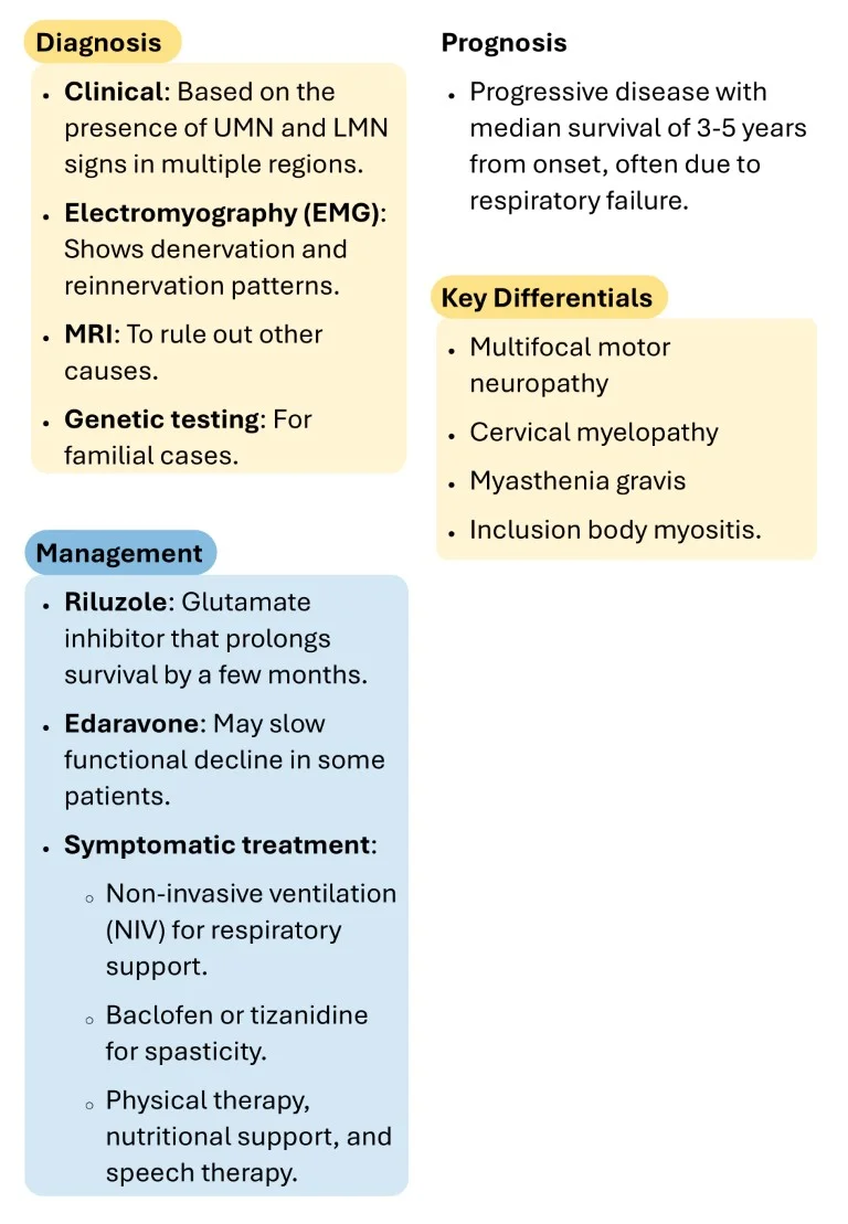 Neurology made easy sample images download (11)