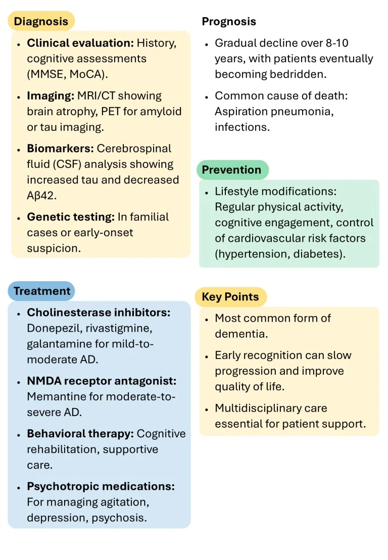 Neurology made easy sample images download (7)