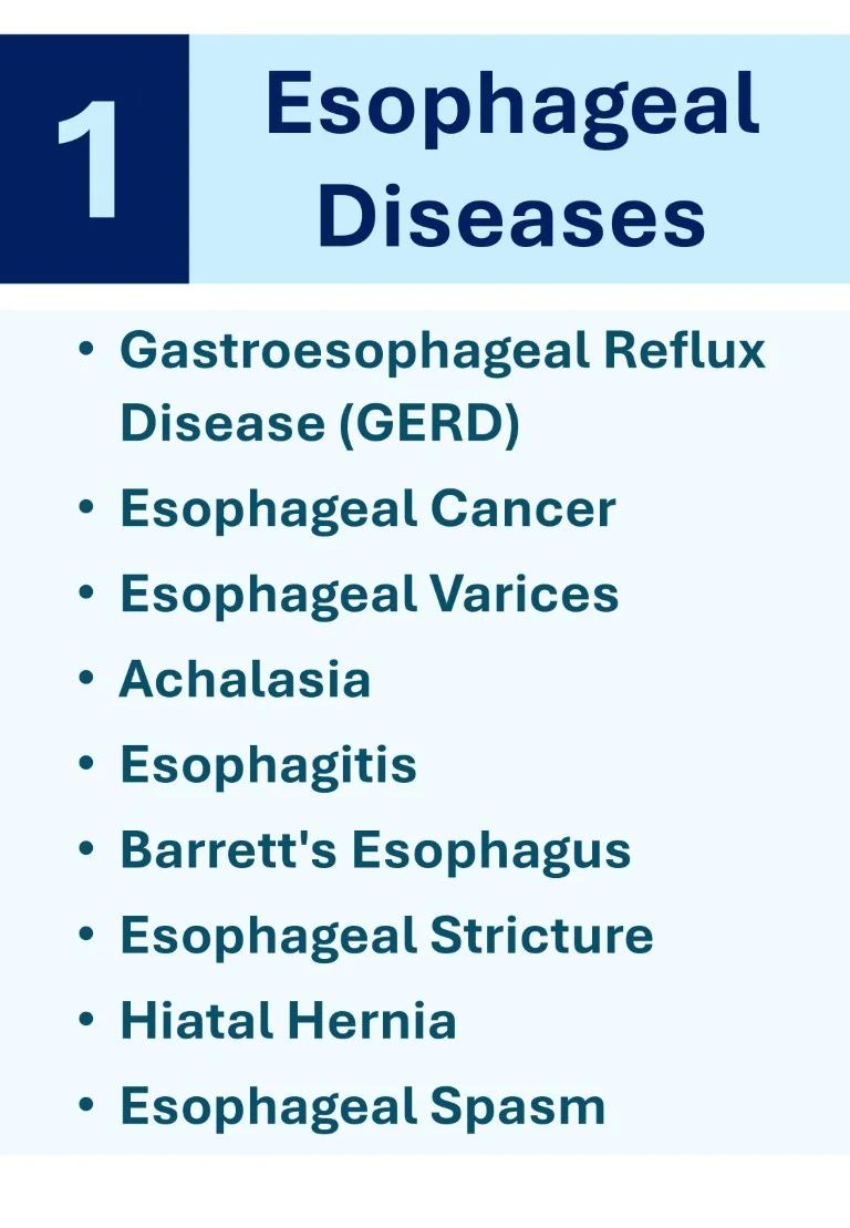 gastroenterologymade easy sample images download (4)