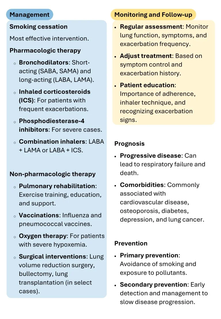 respiratory medicine made easy sample images download (6)